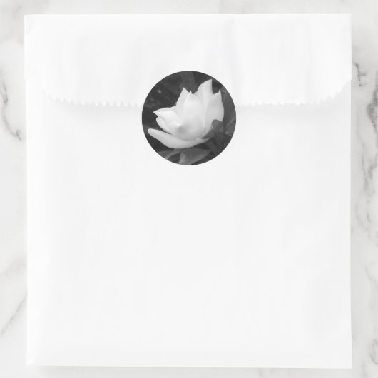 Southern Magnolia Bloom Ronde Sticker (Tas)