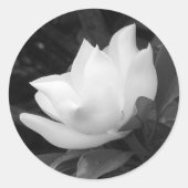 Southern Magnolia Bloom Ronde Sticker (Voorkant)