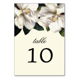 Southern Magnolia Botanische Tafel Kaarten
