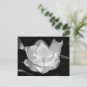 Southern Magnolia Briefkaart (Staand voorkant)