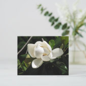 Southern Magnolia Briefkaart (Staand voorkant)