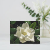 Southern Magnolia Briefkaart (Staand voorkant)