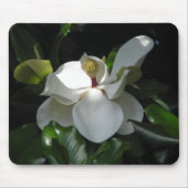 Southern Magnolia Muismat (Voorkant)