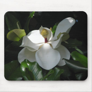Southern Magnolia Muismat