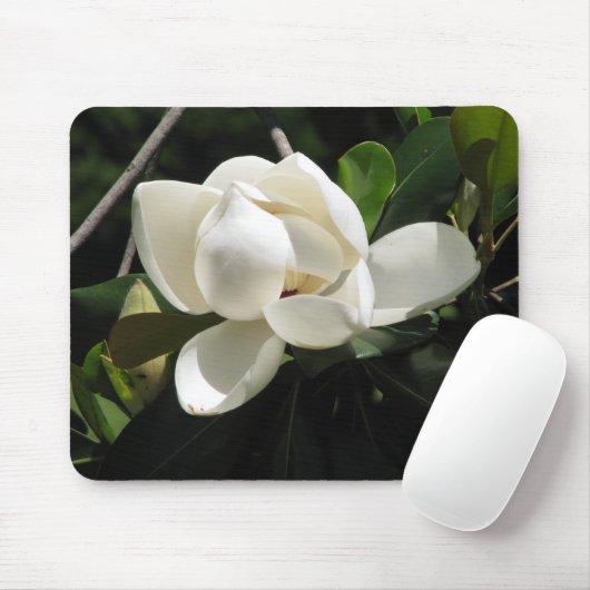 Southern Magnolia Muismat (Met muis)