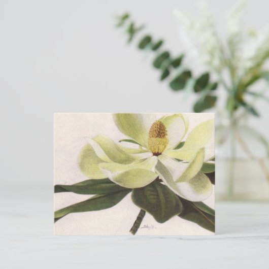 Southern Magnolia Post Card Briefkaart (Staand voorkant)