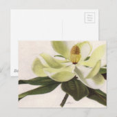 Southern Magnolia Post Card Briefkaart (Voorkant / Achterkant)
