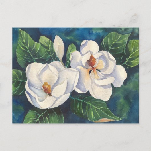 Southern Magnolias Briefkaart (Voorkant)