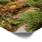 Southern Pacific Mt. Shasta 1912  Poster (Hoek)