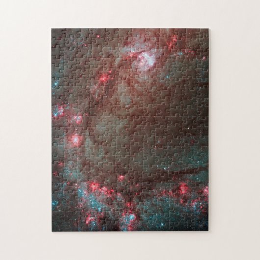 Southern Pinrad Puzzle Legpuzzel (Verticaal)