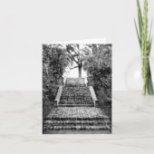 Southern Plantation Inspired Notecard Kaart (Voorkant)