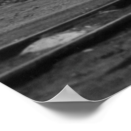 Southern Railway No. 1357 Poster (Hoek)