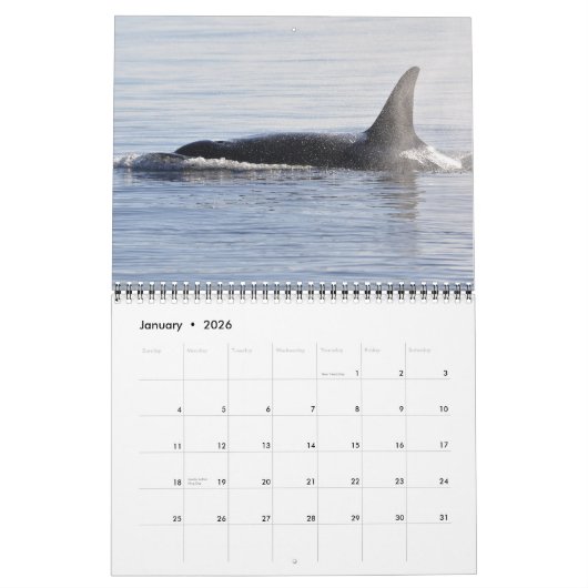 Southern Resident Killer Whales ~ Agenda 2012 Kalender (Jan 2026)