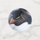 Southern Rockhopper Penguin Confetti (Kleine voorkant)
