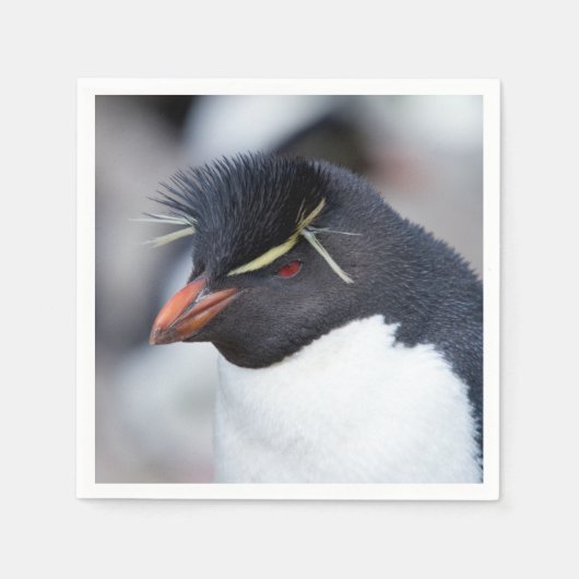 Southern Rockhopper Penguin Servet (Voorkant)