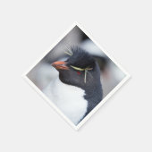 Southern Rockhopper Penguin Servet (Hoek)