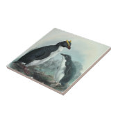 Southern Rockhopper Penguin Tegeltje (Zijkant)