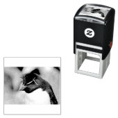 Southern Rockhopper Penguin Zelfinktende Stempel (In situ)