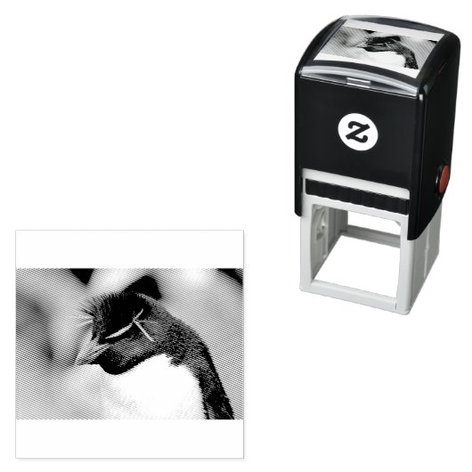 Southern Rockhopper Penguin Zelfinktende Stempel (In situ)