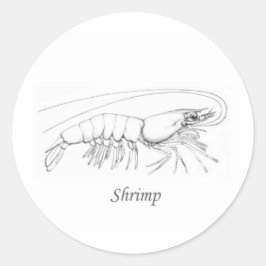 Southern Shrimp Line Art Logo Ronde Sticker