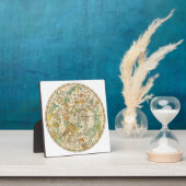 Southern Sky Star Chart and Constellations Map Fotoplaat (Insitu)