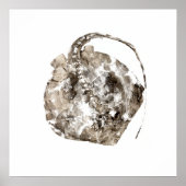 Southern Stingray Poster (Voorkant)