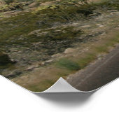 Southern Vista - Big Bend, Texas Poster (Hoek)