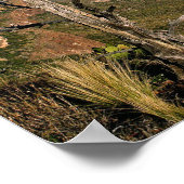 Southern Vista - Big Bend, Texas Poster (Hoek)