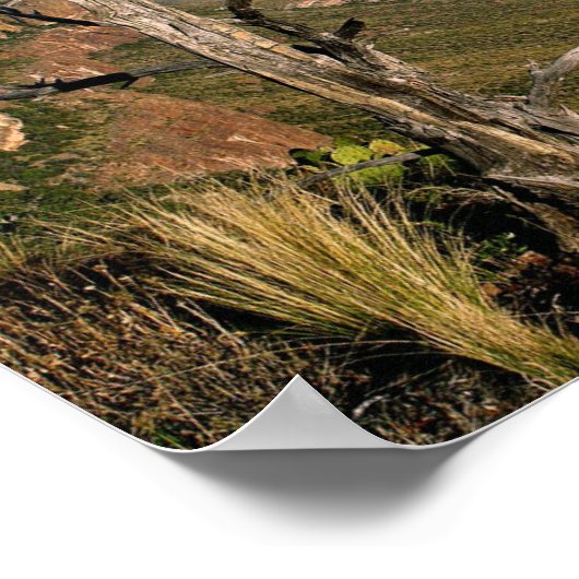 Southern Vista - Big Bend, Texas Poster (Hoek)