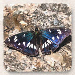 Southern White Admiral Blue Butterfly Painting Bier Onderzetter