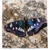Southern White Admiral Blue Butterfly Painting Douchegordijn (Voorkant)