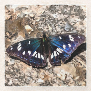 Southern White Admiral Blue Butterfly Painting Glazen Onderzetter
