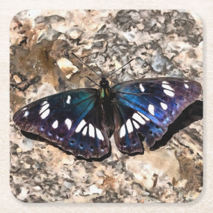 Southern White Admiral Blue Butterfly Painting Kartonnen Onderzetters