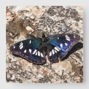 Southern White Admiral Blue Butterfly Painting Vierkante Klok