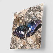 Southern White Admiral Blue Butterfly Painting Vierkante Klok (Hoek)