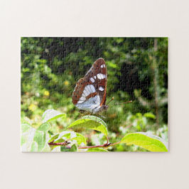 Southern White Admiral Butterfly Foto Puzzle Legpuzzel