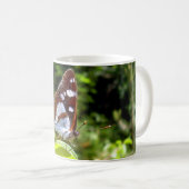 Southern White Admiral Butterfly Mok (Voorkant rechts)