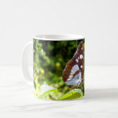 Southern White Admiral Butterfly Mok (Voorkant links)
