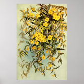 Southern Wildflower Carolina Jasmine Art Poster (Voorkant)