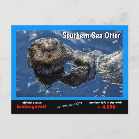 Southern Zee Otter is een bedreigde diersoort 5 - Feestdagenkaart (Voorkant)