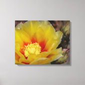 Southwest bloom canvas afdruk (Voorkant)