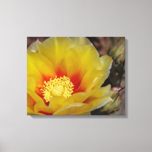 Southwest bloom canvas afdruk (Voorkant)