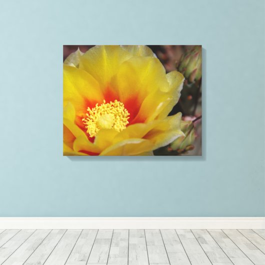 Southwest bloom canvas afdruk (Insitu (Houten vloer))