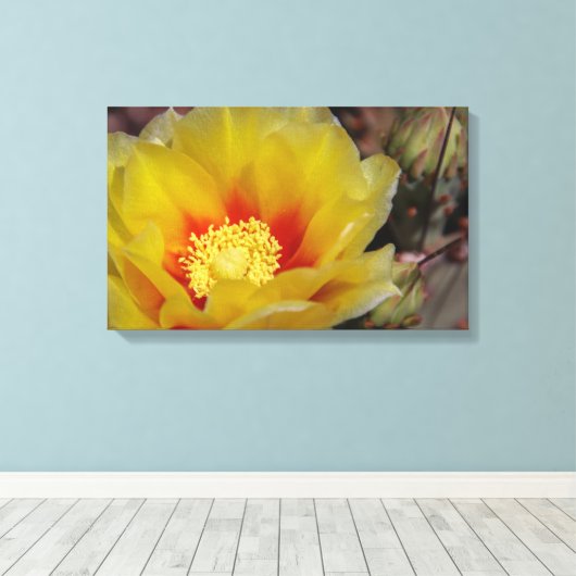Southwest bloom canvas afdruk (Insitu (Houten vloer))