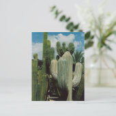 Southwest Cactus Briefkaart (Staand voorkant)