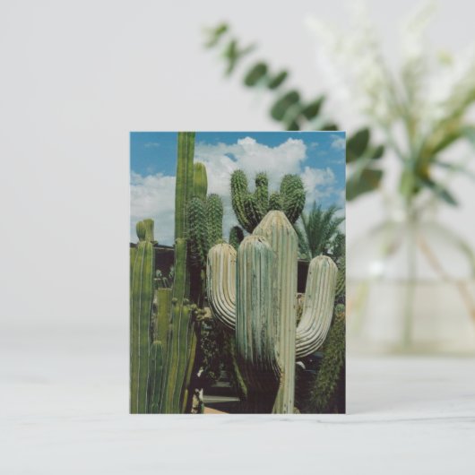 Southwest Cactus Briefkaart (Staand voorkant)
