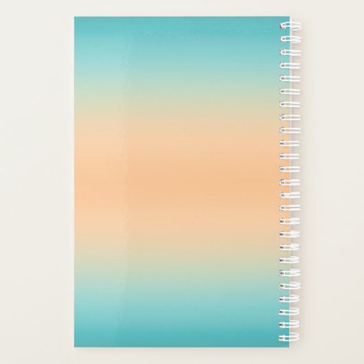 Southwest Cross Planner (Achterkant)