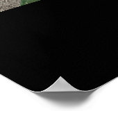 Southwest Desert Arizona Cactus Collage Poster (Hoek)