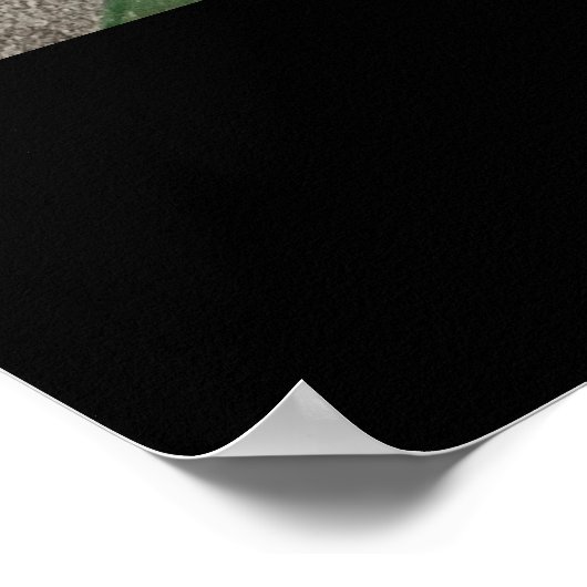 Southwest Desert Arizona Cactus Collage Poster (Hoek)