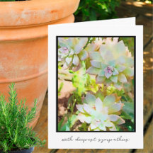 Southwest Ghost plant Deepest Sympathkcard